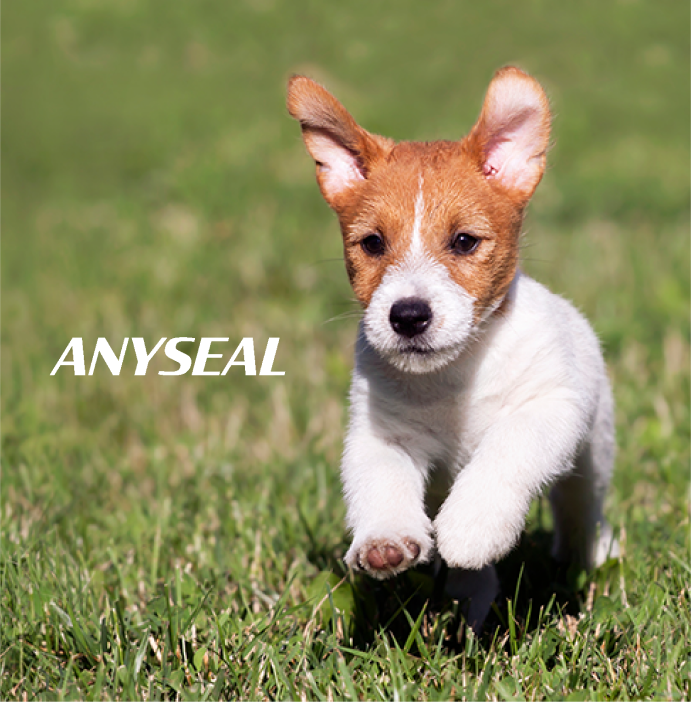 ANYSEAL - 140 - Group 1000003474